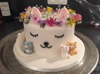 cat-with-birthday-cake-cat-cake-birthday-cake-ideas-in-2018-pinterest-cake-cat-party.jpg